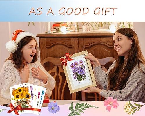 Miniatura 4 de Caja mixta de flores secas prensadas para resina al azar, con 1 pinzas, flores mixtas secas naturales y reales, kit de hierbas a granel para álbumes