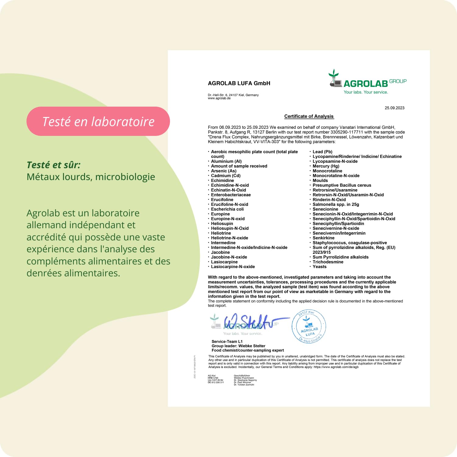 Draineur & Detox Vegavero® | 100% NATUREL | Rétention d’eau + Diurétique Puissant | Ortie, Pissenlit, Bouleau, Piloselle et Orthosiphon | Sans Additifs | 120 Gélules (4 mois) | VEGAN