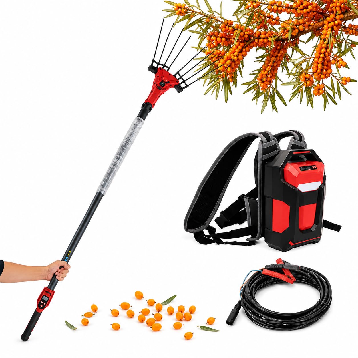 Vareador Eléctrico De Aceitunas, Rastrillo Telescópico para La Recolección De Aceitunas con Motor Sin Escobillas 250 W/600 W, 6 Niveles De Vibración, Mango con Pantalla Led 250w