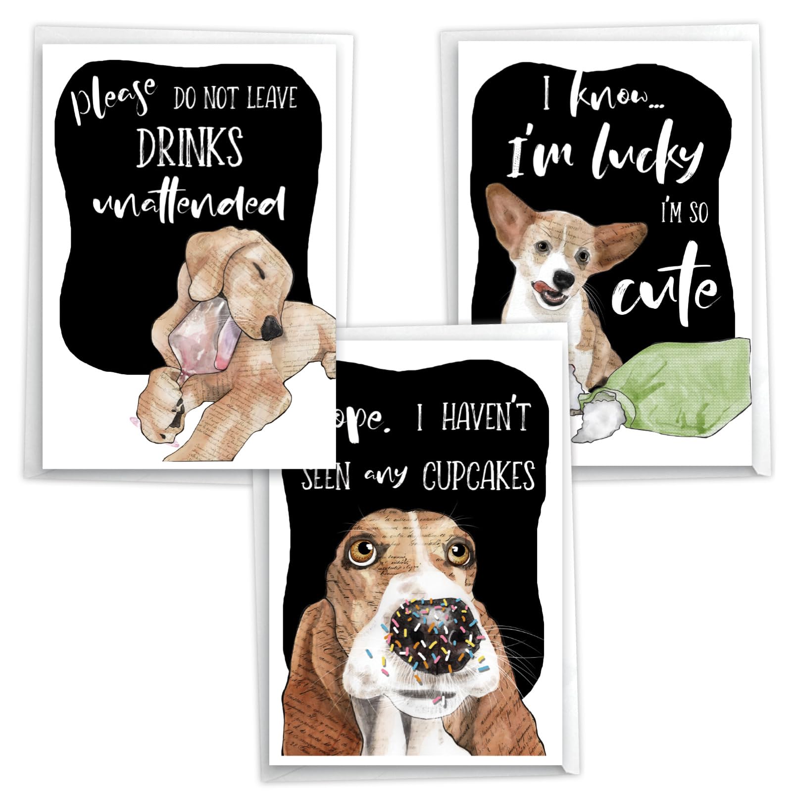 NobleWorks, Assortment Pack of 3 Funny Birthday Greeting Cards with Envelopes (3 Designs, 1 Each) Dog Antics Party VC10796BDG-C1x3
