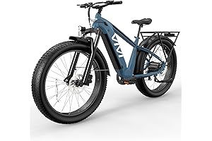 Budget ACE01 Electric Bike mountain terrain