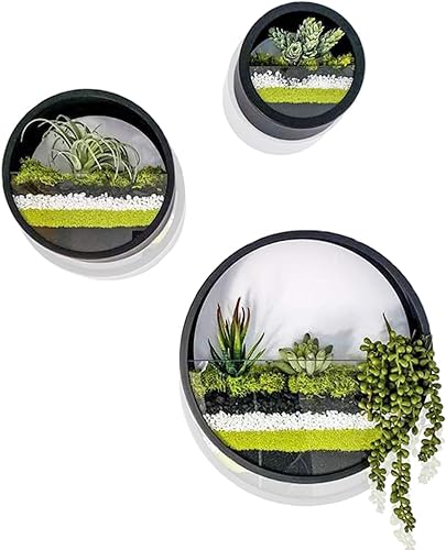 Ecosides - Juego de 3 macetas redondas para colgar en pared, terrario para suculentas, contenedor con soporte de montaje independiente de metal,