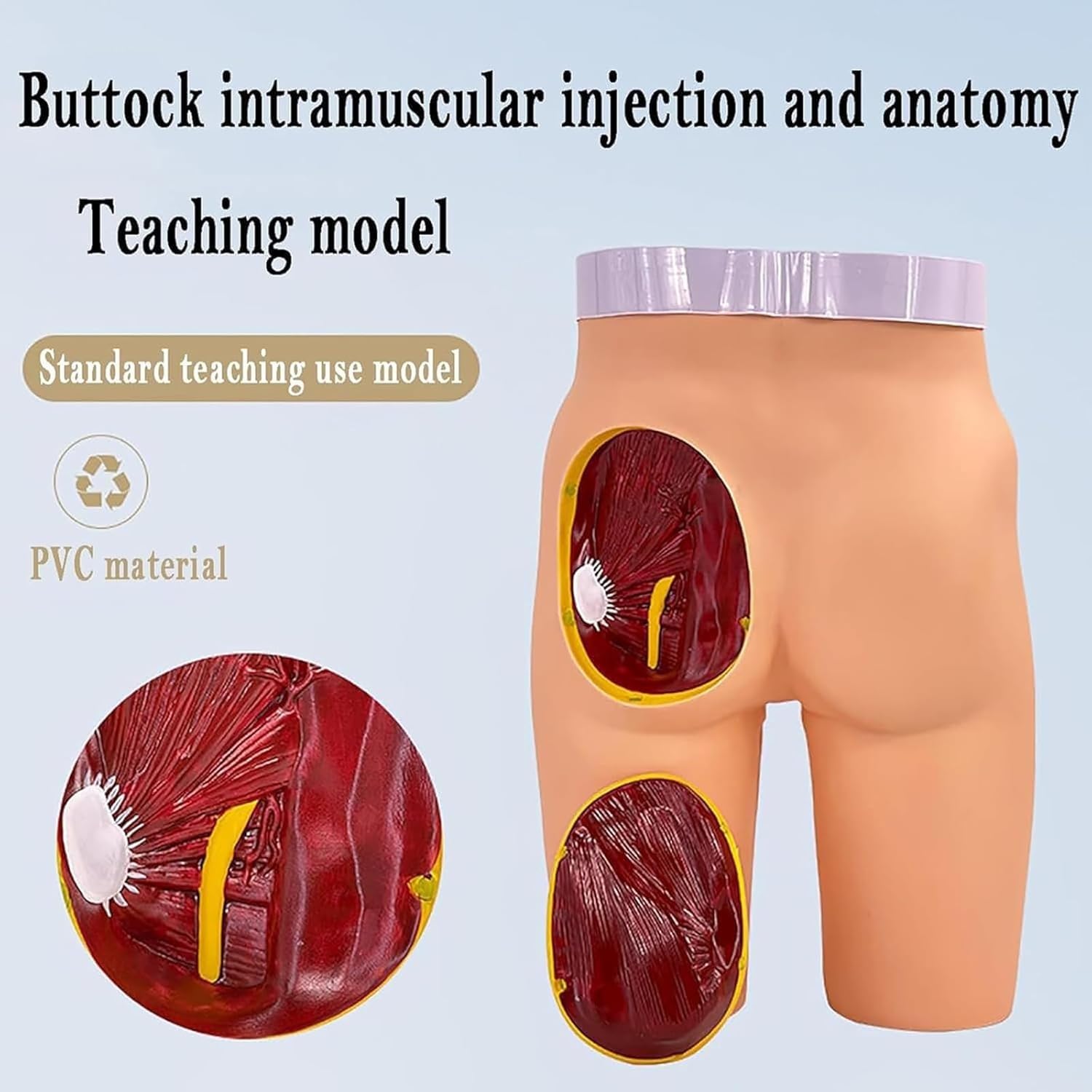 Model iniekcji do mięśni pośladkowych i struktury anatomicznej, model do ćwiczeń iniekcji do pośladków, 3 metody treningu iniekcji, możliwość usunięcia 1/4 lewego biodra, do ćwiczeń dla studentów