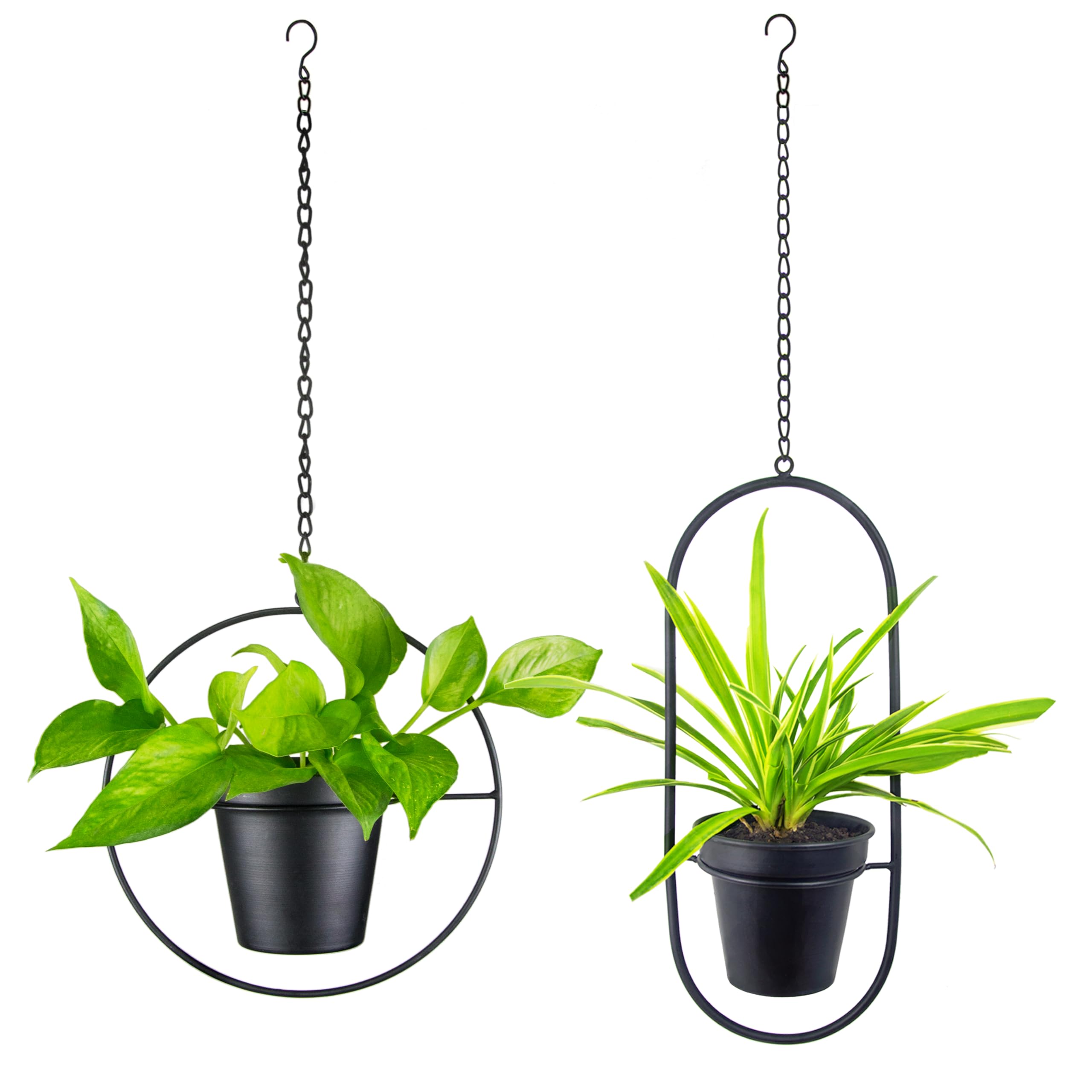 Colgadores De Plantas Montados En La Pared Las Mejores Ofertas En