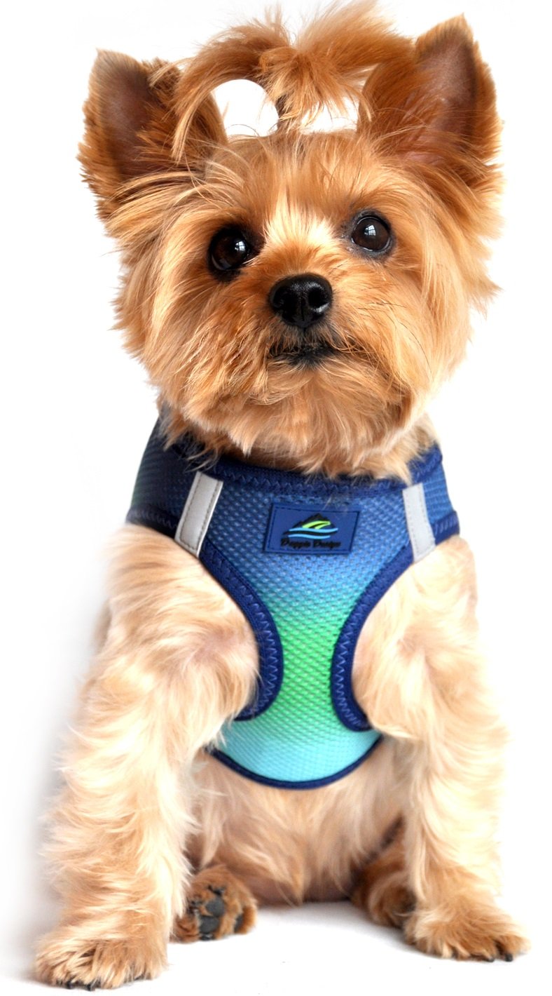 Doggie Design No Choke Dog Harness - Simple Step-in and Go Dog Vest for Small, Medium, and Large Breeds - Breathable Mesh Polyester Pet Harness -