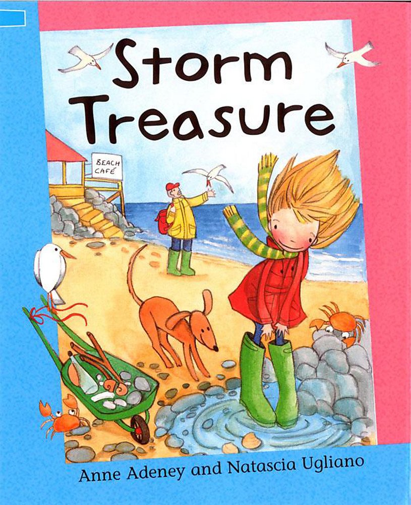 Storm Treasure (Reading Corner)