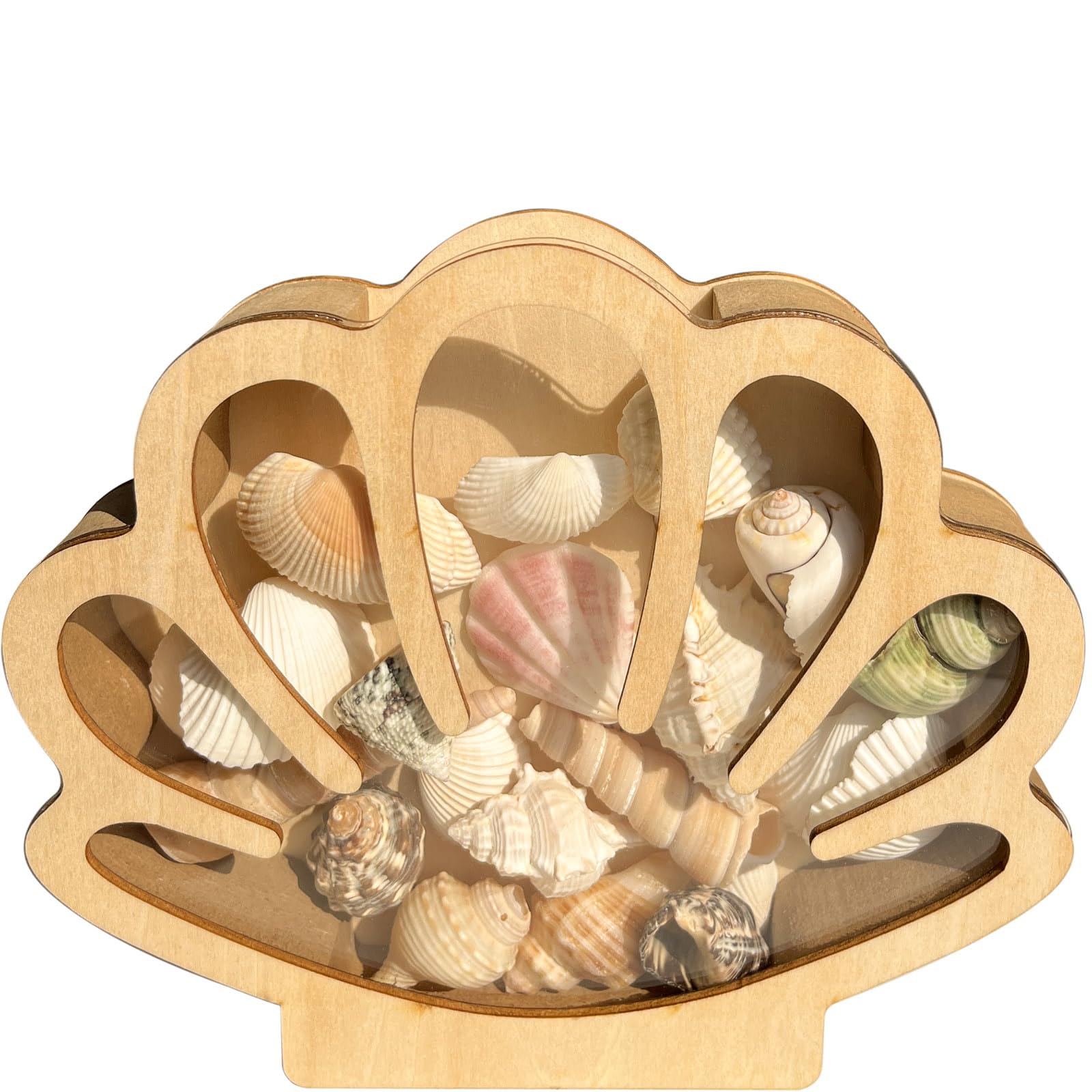Caja de almacenamiento de madera con ventana acrílica, soporte de concha de mar, cristal de mar, dientes de tiburón, estrella de mar, caja de exhibición de sombra, caja de colección de