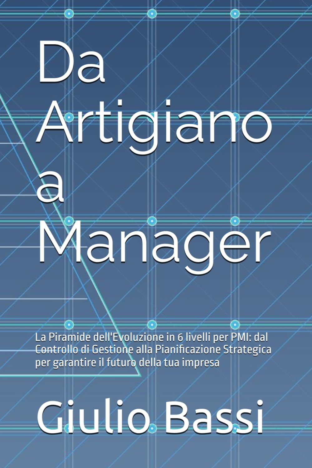 Da Artigiano a Manager: La Piramide dell'Evoluzione in 6 livelli per PMI: dal Controllo di Gestione alla Pianificazione Strategica per garantire il futuro della tua impresa
