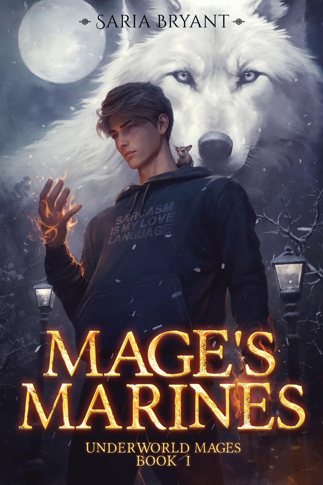 Mage's Marines (Volume 1) (Underworld Mages)