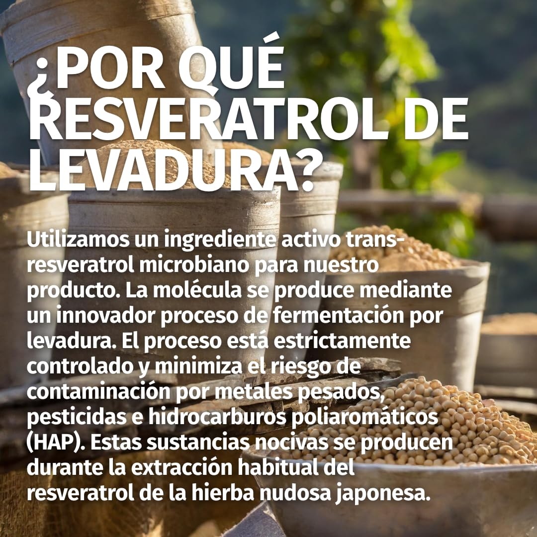 Green Naturals Trans-Resveratrol 500 mg – Pureza >98% – 120 cápsulas | De fermentación · Vegano · Sin aditivos · Para 4 meses · Fabricado en Alemania