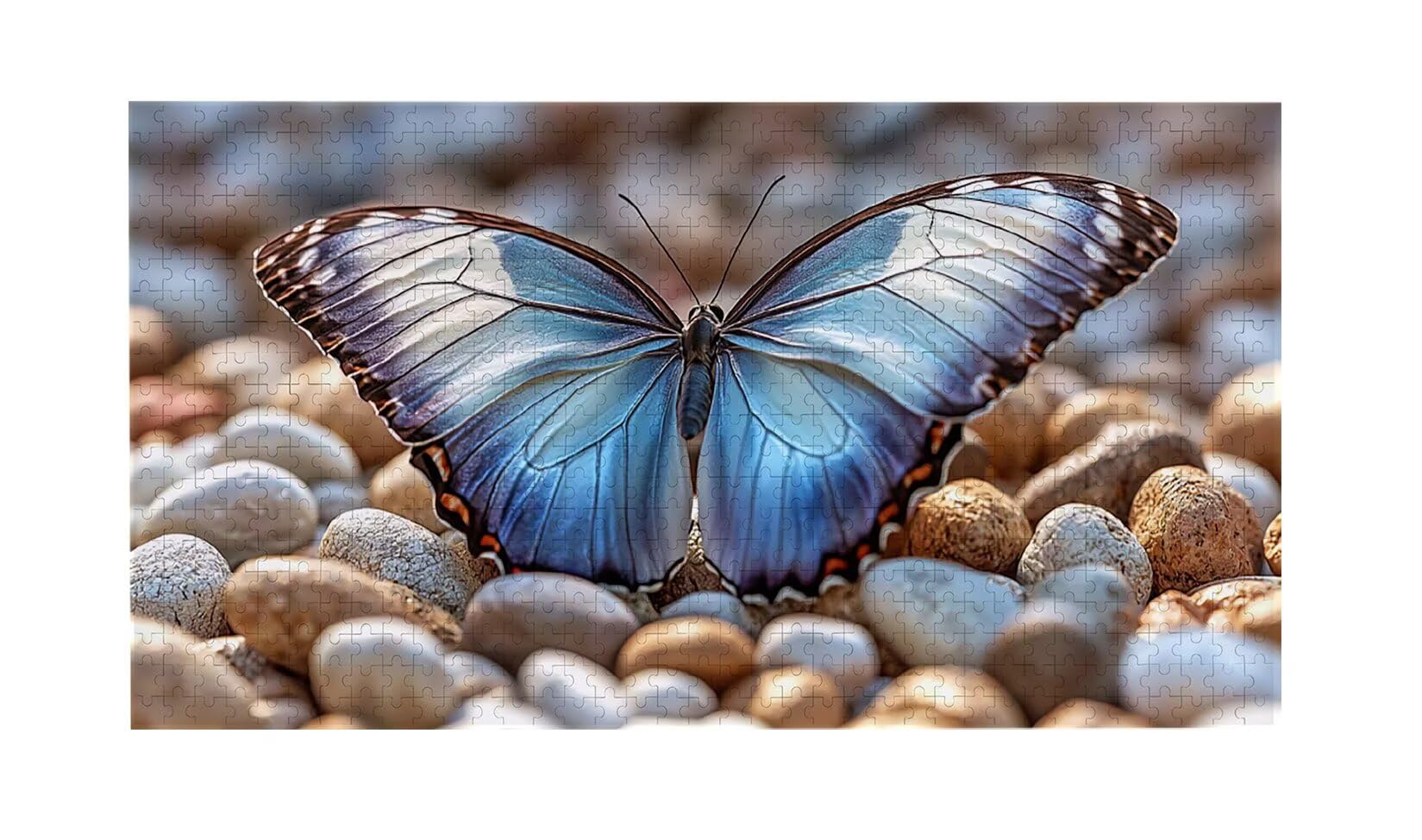 Puzzle dla dorosłych 1100 elementów, kamyki motyle, puzzle dla dorosłych klasyczne i od 14 lat junior, rodzinne puzzle rozrywka w domu prezent 87x42cm l-197