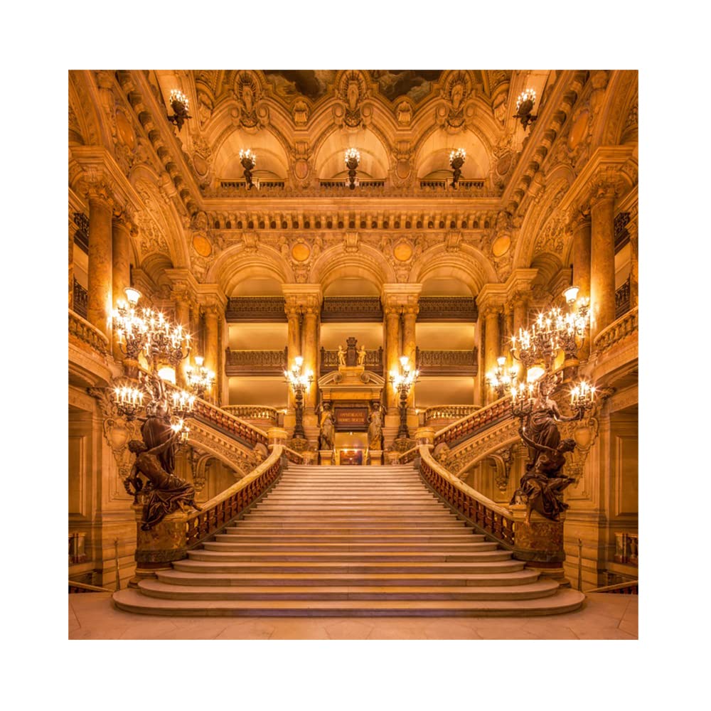 Aoihrraan 2,5x2,5m Luxe Palais Toile De Fond Resplendissant Château Brillant Lumières Mariage Escalier Vintage Bâtiment Photographie Fond Nuptiale Douche Fête Mariage Cérémonie Photo Accessoires