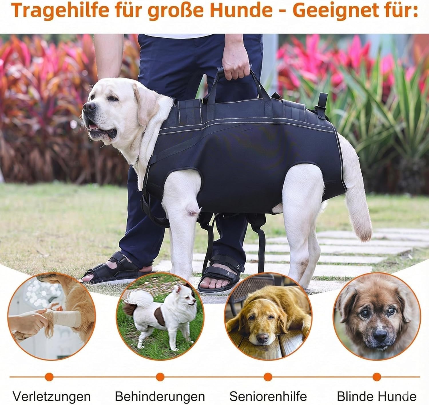 Arnés De Elevación para Perros Mediano Gran,Arnés De Cuerpo Entero Perro,Arnes Ayuda Perro,Arnes De Transporte para Perros, Portabebés De Rehabilitación para Escaleras Y Coches con Asa 3XL
