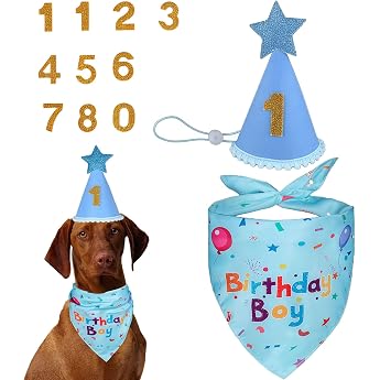 GWAWG Dog Birthday Hat Bandana Set - 3 Pieces Birthday Set with 0-9 Dog Birthday Neckerchief Party Hat Birthday Decoration for Dogs Cats - Dog Birthday Gift for Dog Party Decoration Blue