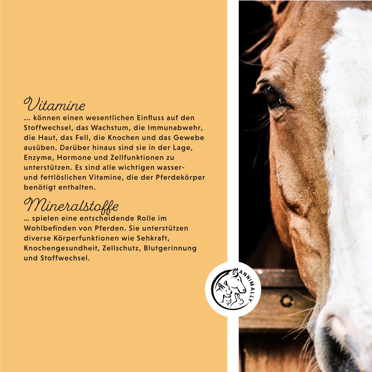 Annimally Senior Mineralfutter Pferde getreidefrei - Ergänzungs Pferdefutter für Senior Pferde mit Vitaminen, Mineralstoffen und Spurenelementen, wie Zink, Selen, Omega 3 & Jod (3 kg Eimer)