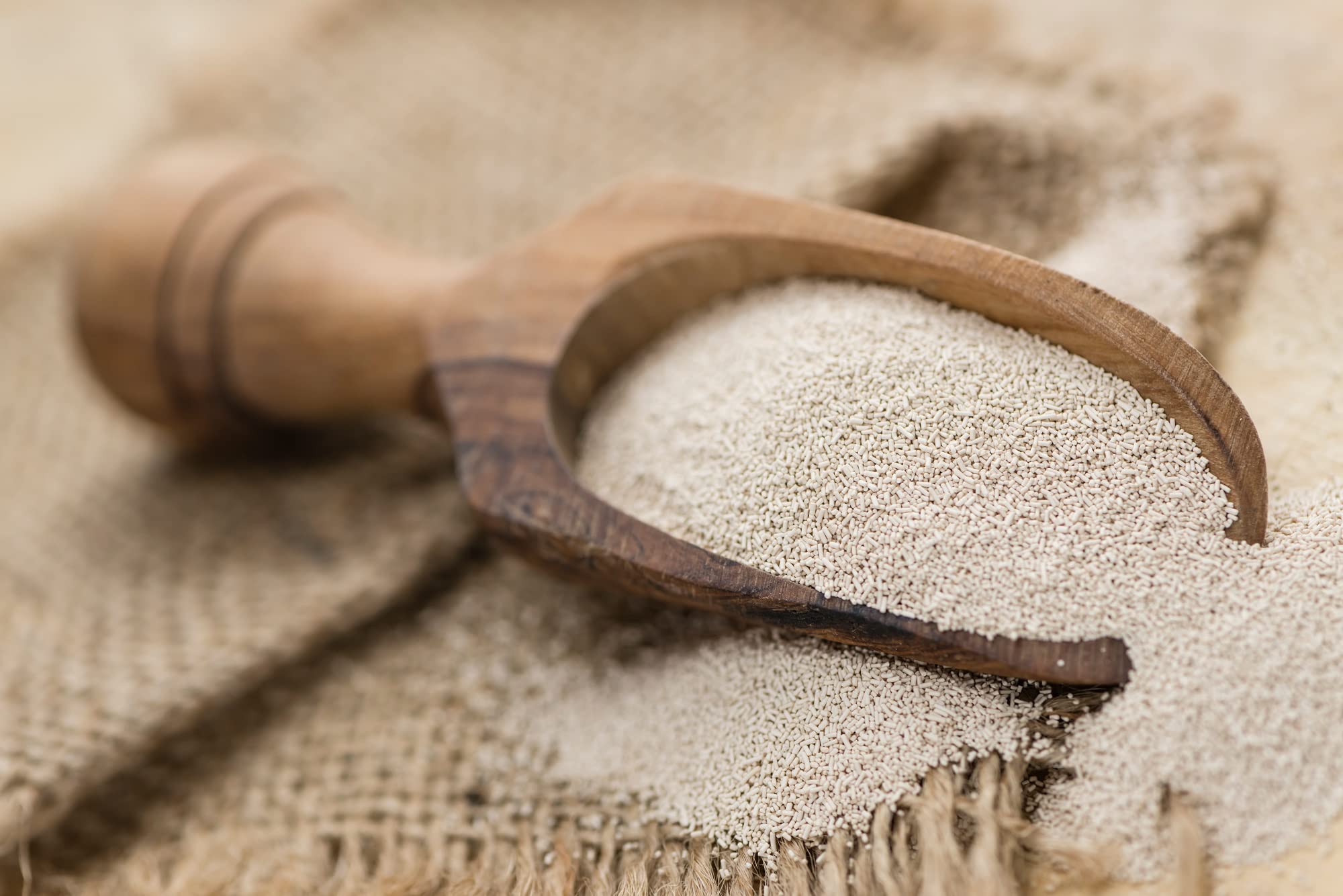 Mynatura Trockenhefe | Feinkörniges Granulat | Getrocknete Hefe | Backen | Eiweiß | Brot Backmittel | Backhefe I Hefeteig | Geruchsneutral | Im Beutel (3000g)