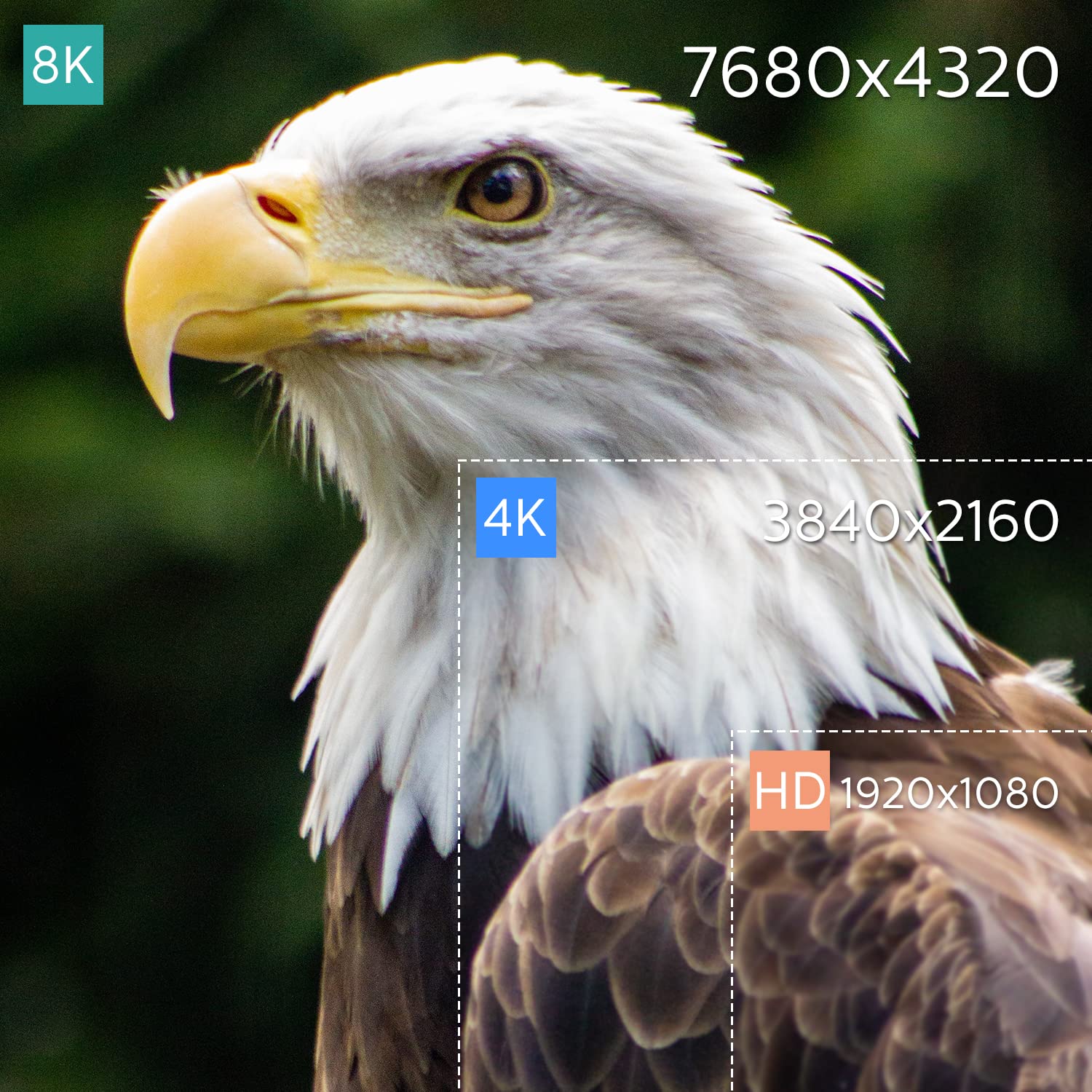 P4 Immergiti nella brillantezza 8K! Cavo HDMI certificato 2.1 da 15 m - Ultra High Speed, intrecciato, 8K@60Hz, 4K@120Hz, eARC, HDR10+, Atmos - Perfetto per Apple TV, Roku, Netflix, PS5 e altro!..