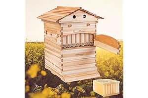 Beekeeping for the Modern Age: Flow Hive Super - Wooden Beehive Beehouse Boxes