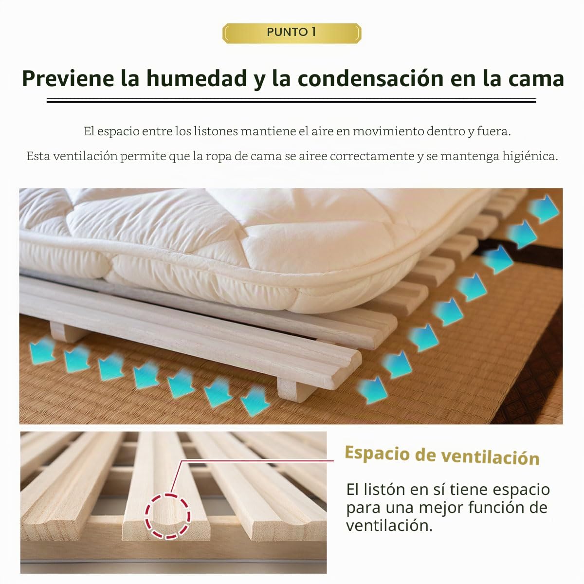 EMOOR Cama Láminas Plegables de Madera Franco-Roll 160 x 200 cm para Futón Japonés (Natural), Paulownia sin Pintar Minimalista Tatami Dormir en Suelo