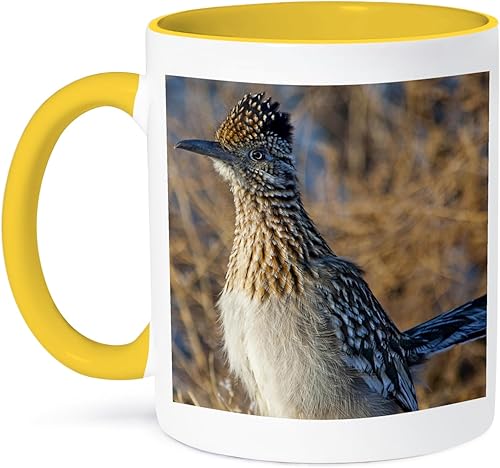 Miniatura 10 de 3dRose Roadrunner bird, Bosque del apache NWR, New Mexico-US32 CHA0044-Chuck Haney - Taza de dos tonos, 11 onzas, negroblanco