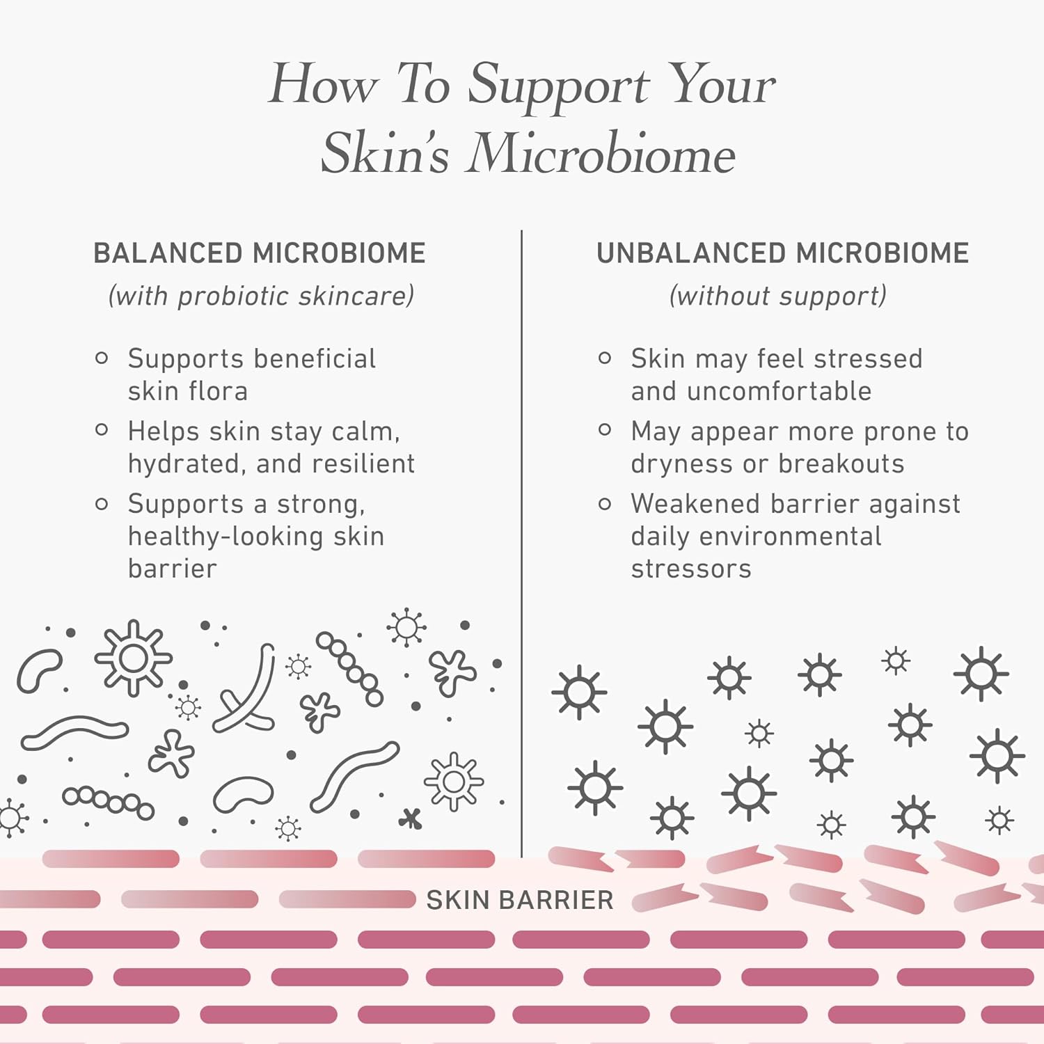 SumaNurica Probiotic Energising Essence, Waterless Fermented Ginseng & Bifida Formula, Lightweight Hydrating Essence, Supports Skin Barrier Comfort & Serum Absorption (5.07 fl oz) - Image 5