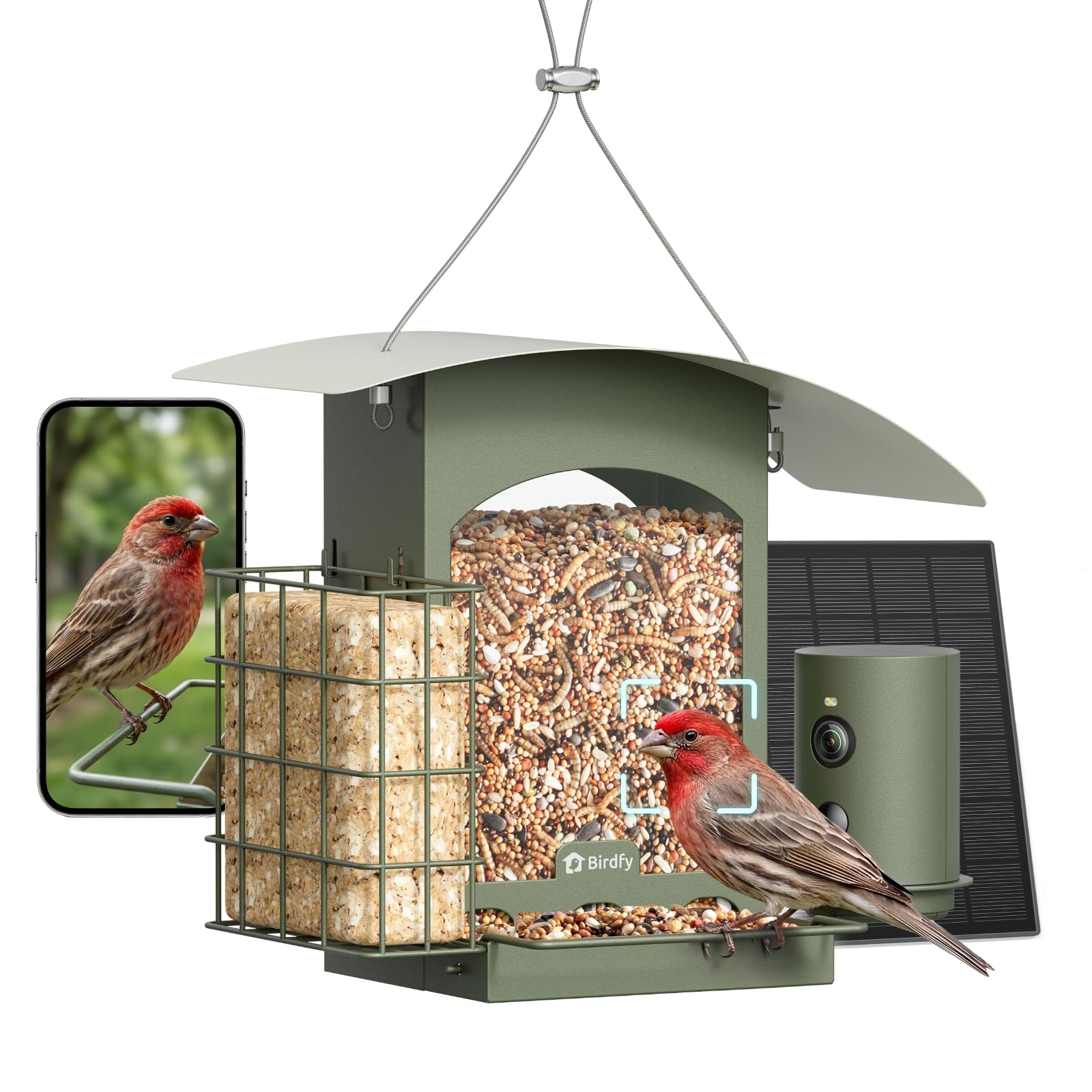 Photo 1 of Birdfy Smart Bird Feeder with Camera