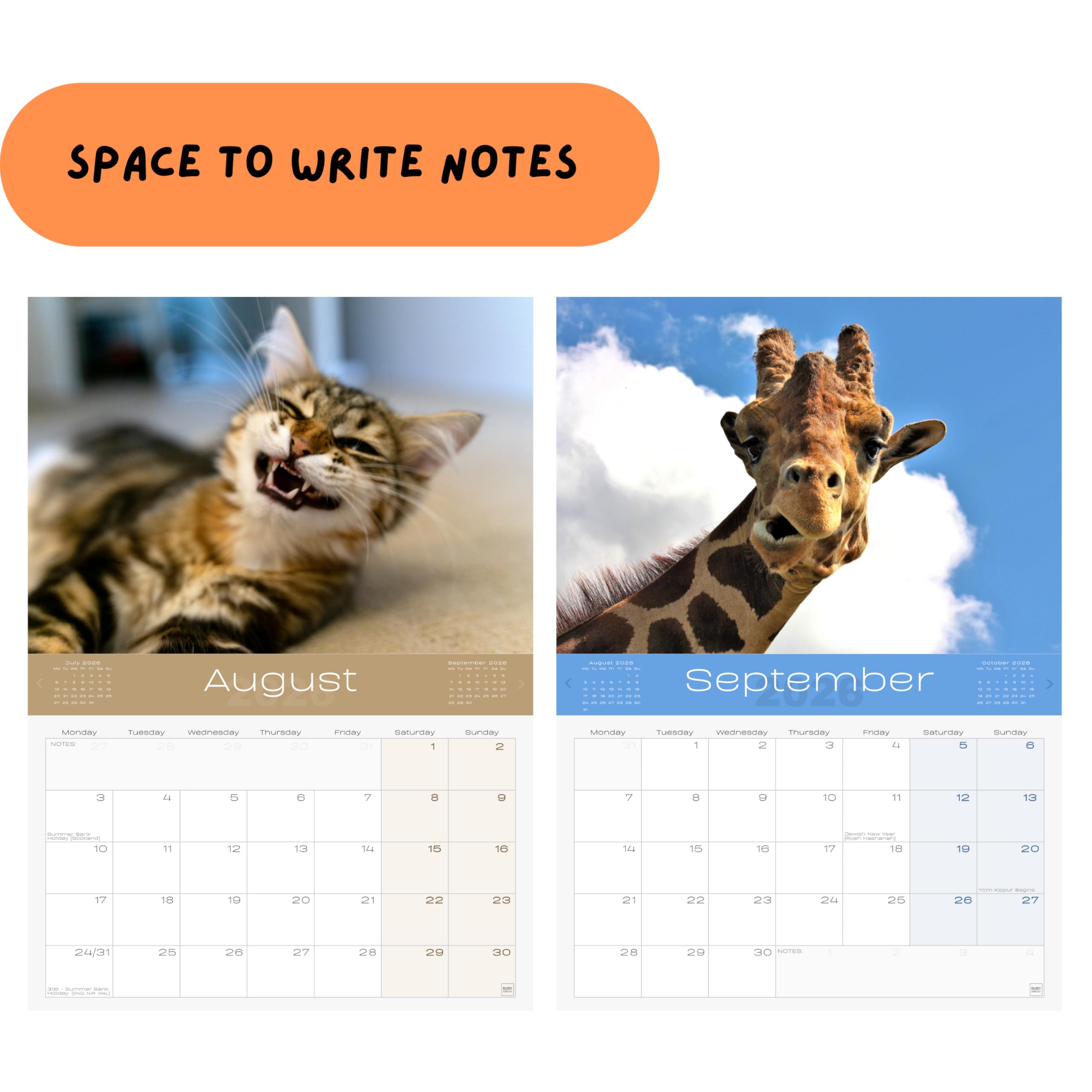 Calendrier Mural 2026 - Calendrier Mural Mensuel - 30,5 X 61 Cm - Ouvert - Calendrier Familial - Organiseur De Maison Et De Bureau - À Suspendre