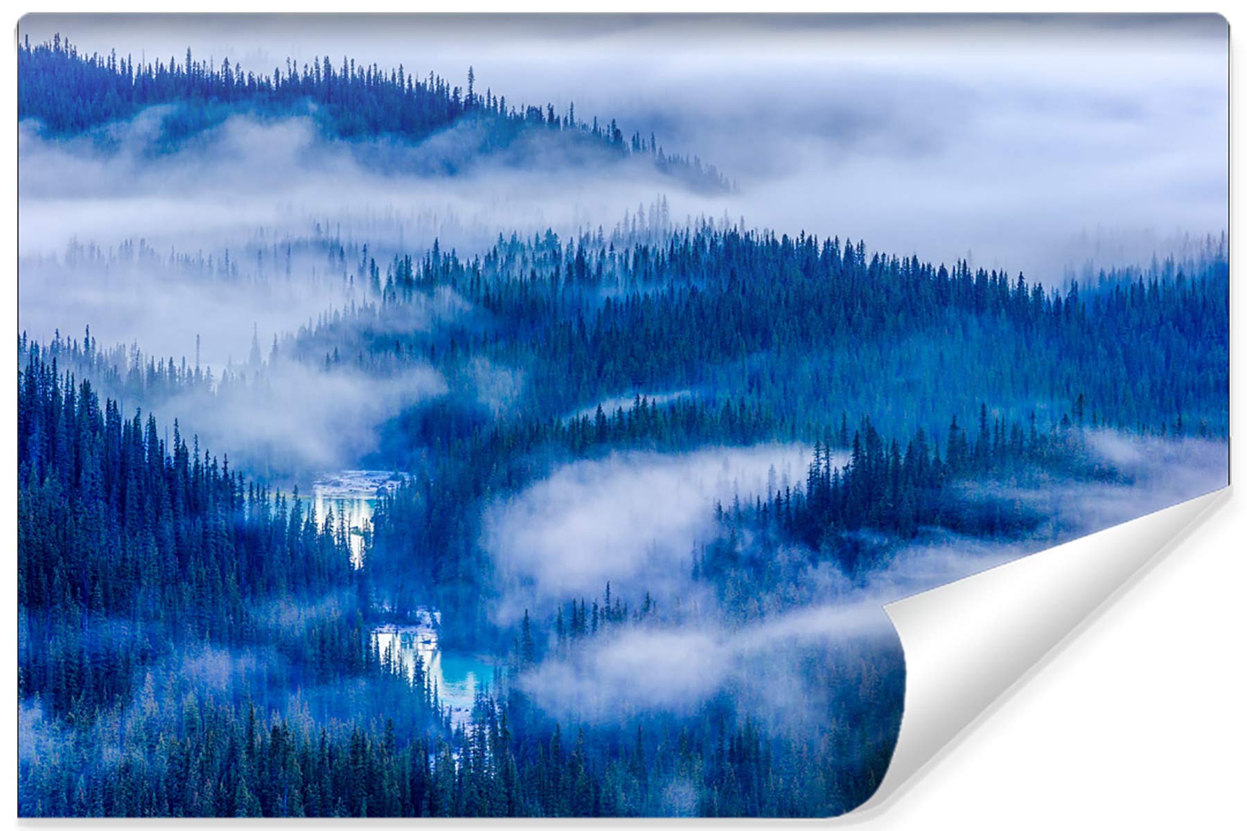 Muralo Winylowa gładka fototapeta, las w mgłę, naturalna tapeta, tapety ścienne, 254 x 184, do salonu, sypialni, nowoczesne obrazy ścienne XXL, dekoracja ścienna, rozmiar 254 x wysokość 184