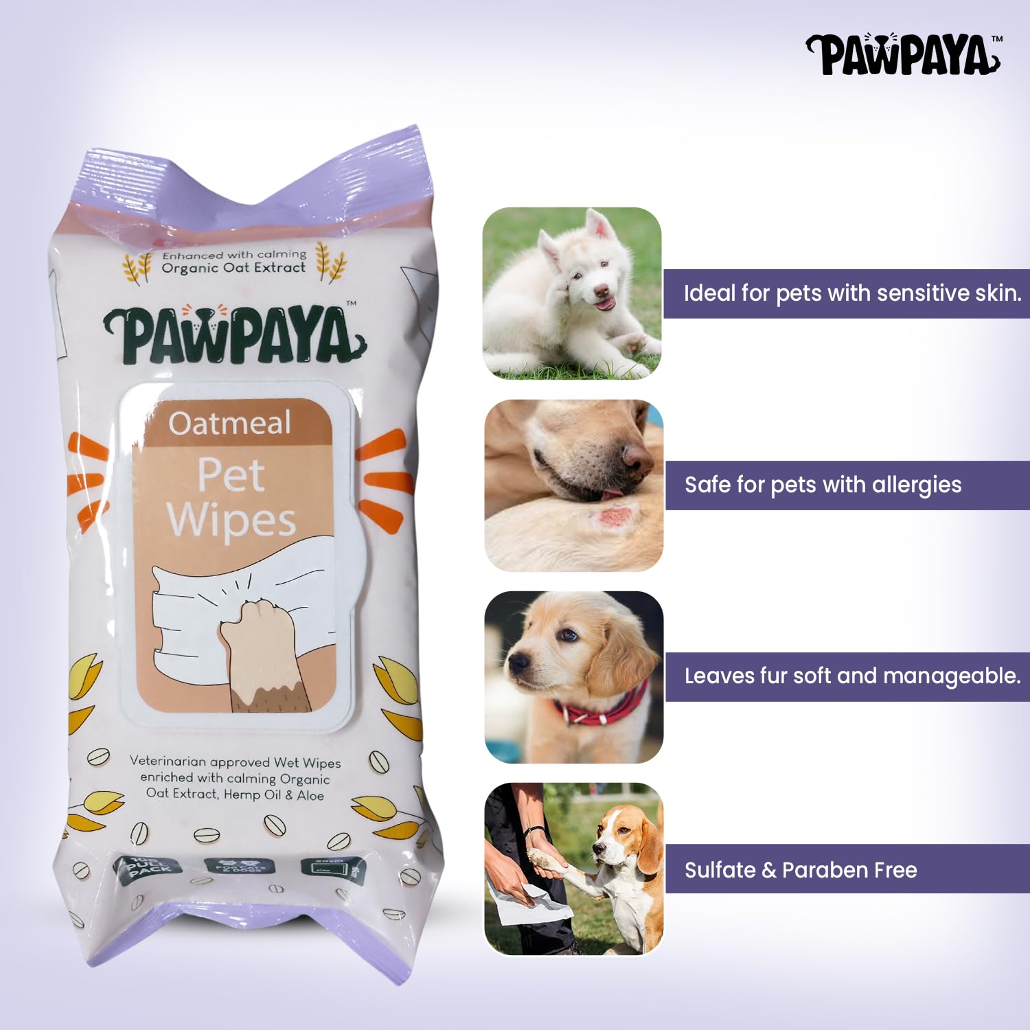 Pawpaya Oatmeal Pet Wipes for Dogs and Cats 100 Wipes | Soothes Itchy and Sensitive Skin | Cleans Paws Face and Coat | Alcohol-Free Grooming Wipes (Pack of 2) 1