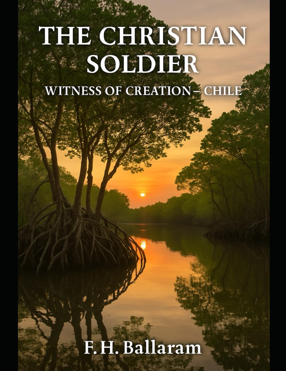 THE CHRISTIAN SOLDIER: WITNESS OF CREATION - CHILE
