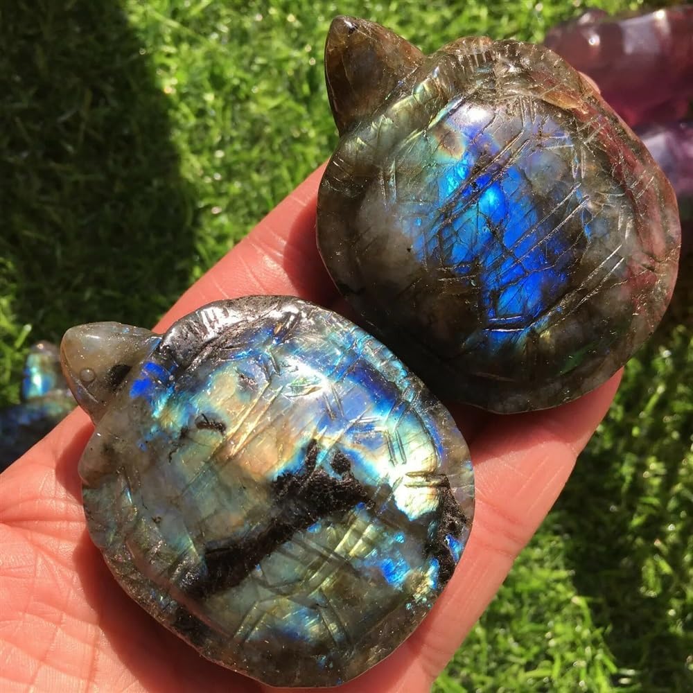 1PCS Labradorite Quartz Crystal Tortoise Skull Hand Carved Home Decor