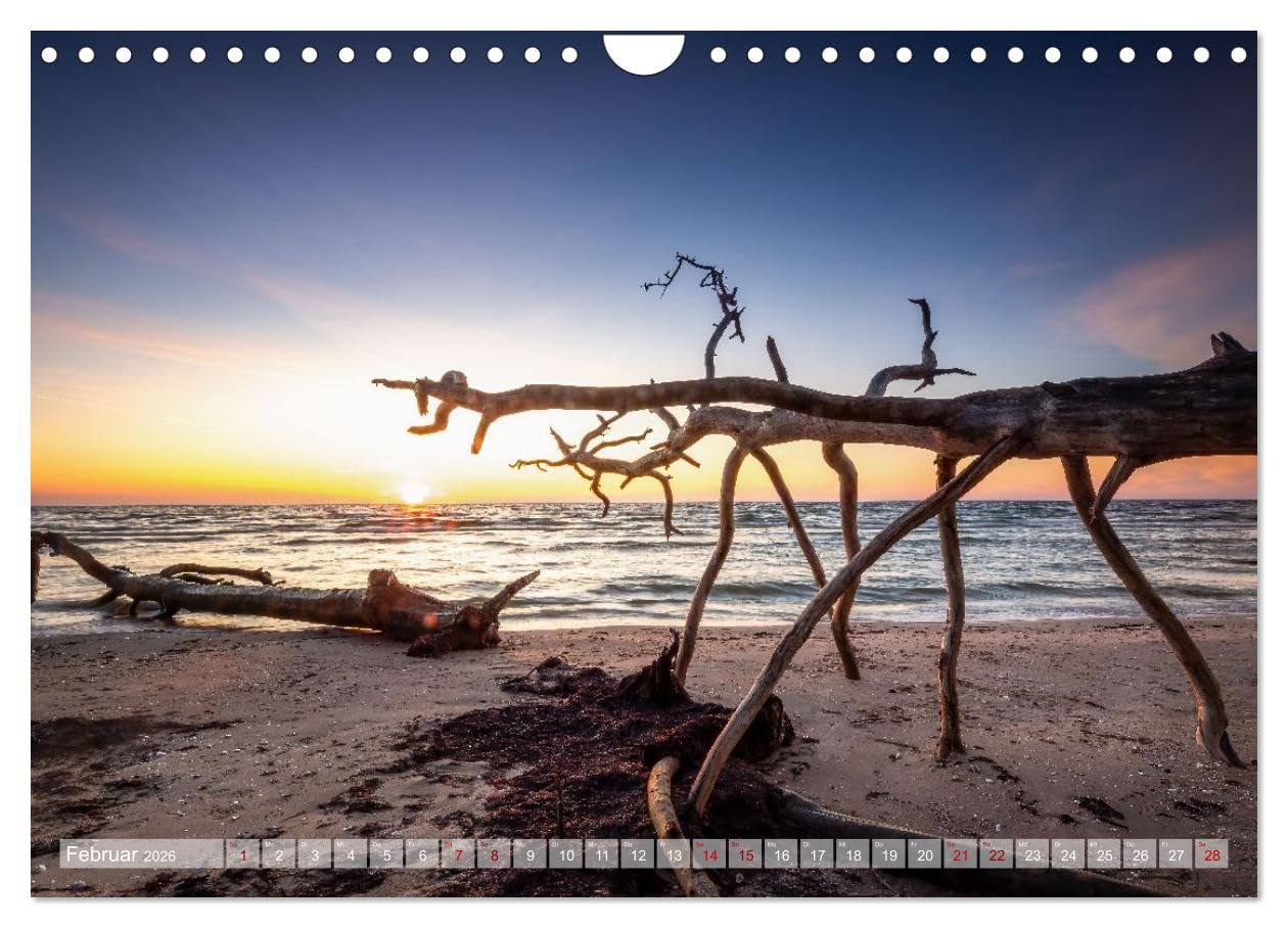 Land. Licht. Meer. (Wandkalender 2026 DIN A4 quer), CALVENDO Monatskalender: Küsten, geformt von Wind und Wellen.