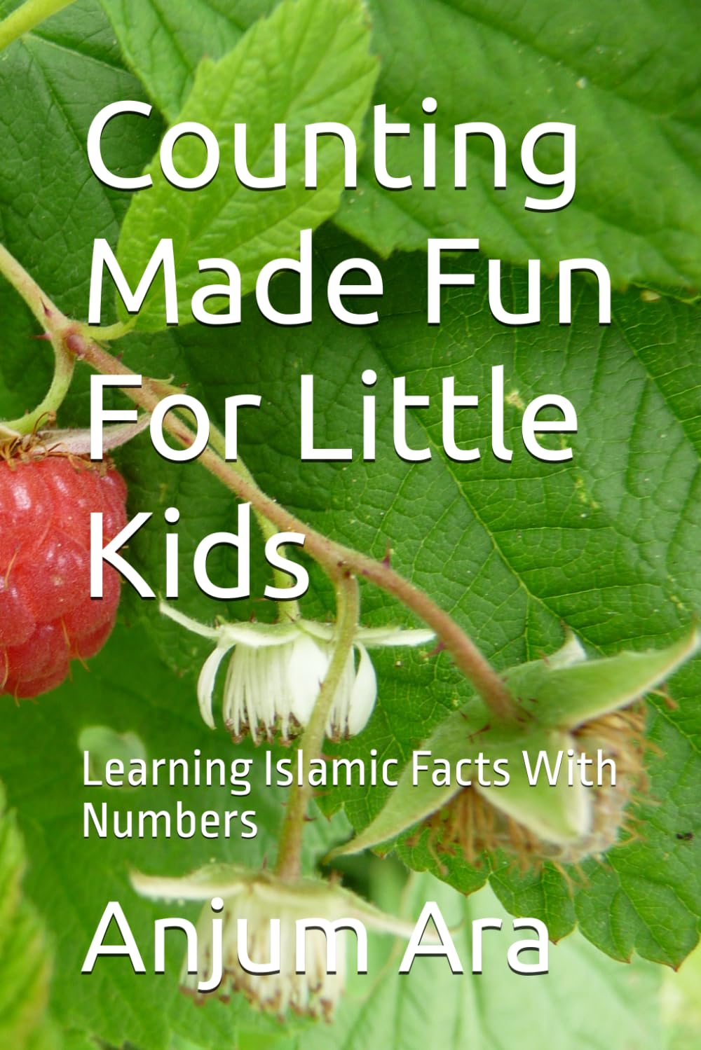 Counting Made Fun For Little Kids: Learning Islamic Facts and Numbers by Coloring and Fun Activities