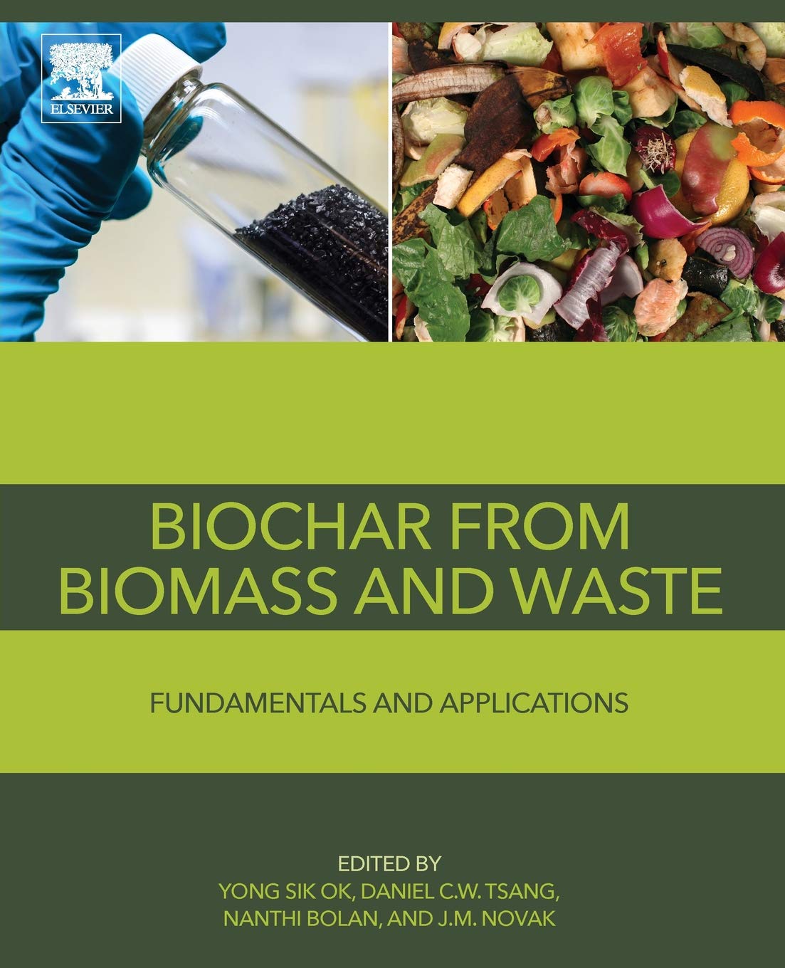 Amazon | Biochar from Biomass and Waste: Fundamentals and Applications ...