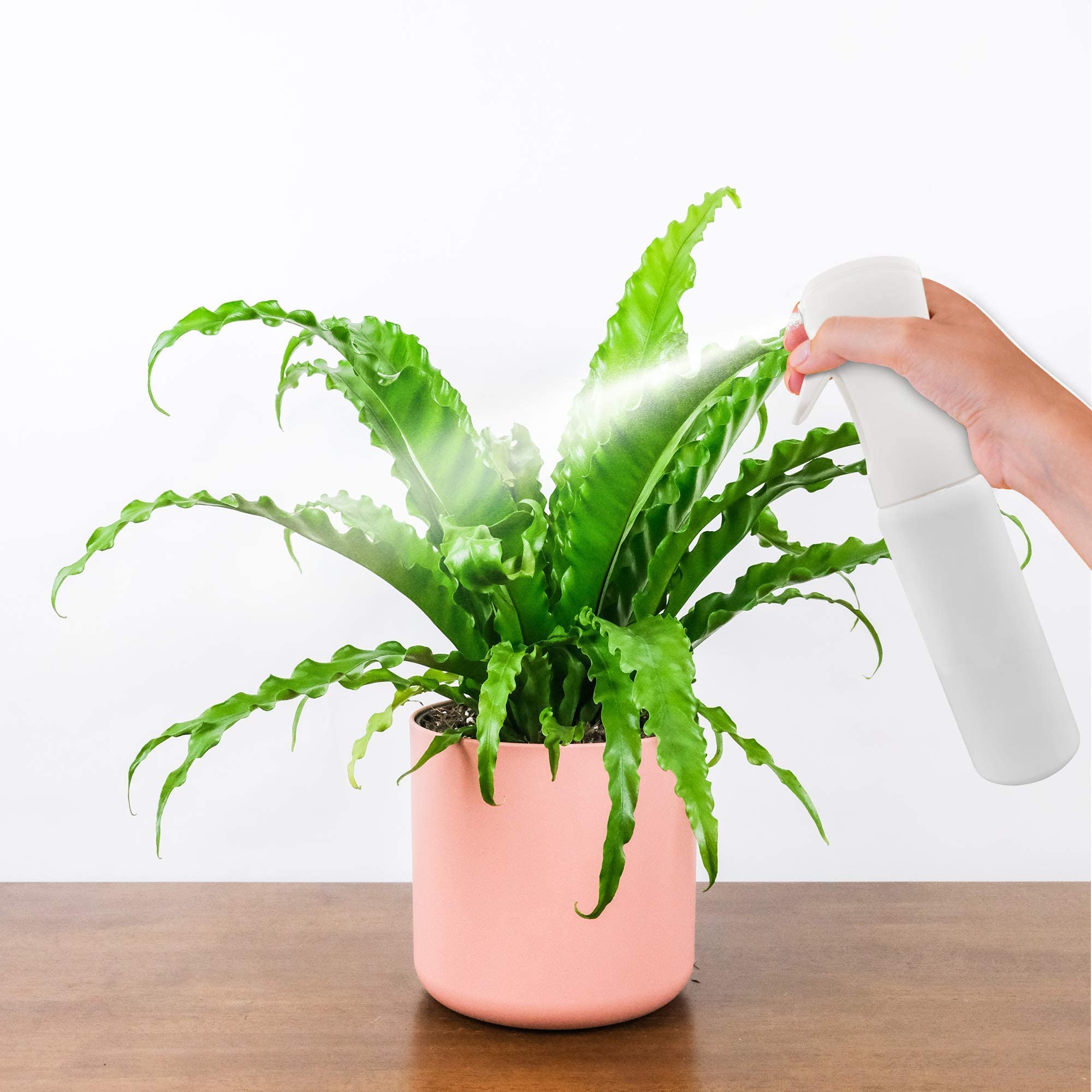 Pulverizador de Agua para Peluquería 300 ml Spray Pulverizador Desinfectante, Pulverizador Continuo Flairosol, Botella Spray Nebulizador Vaporizador Plantas, Botella Spray Niebla Fina (1)