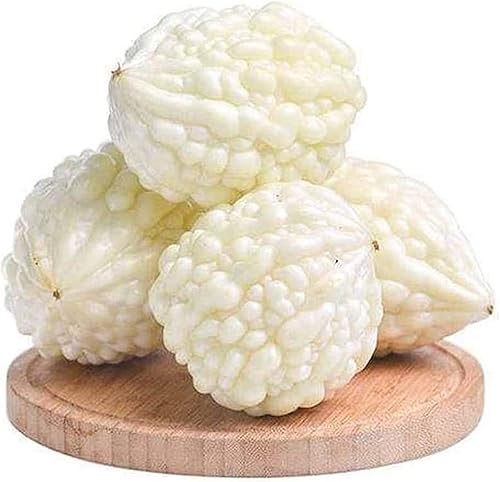 Miniatura 4 de Semillas de calabaza amarga 10+ Bálsamo de perlas blancas Semillas de melón de pera Verduras