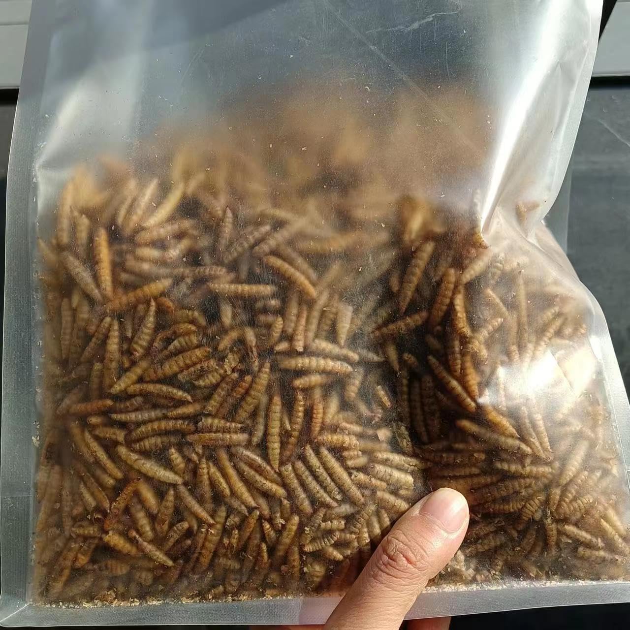 DITAVN Dried Black Soldier Fly Larvae, 5lb, 100 Natural