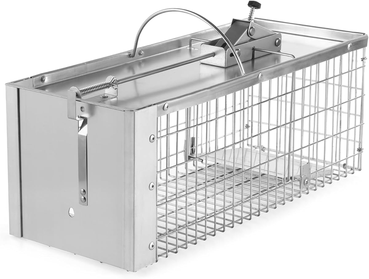 Live Animal Cage Trap, Heavy Duty Humane Cage Trap for Squirrels, Chipmunks, Rabbits, and Small Rodents, Safely Catch & Release - 1 Trap
