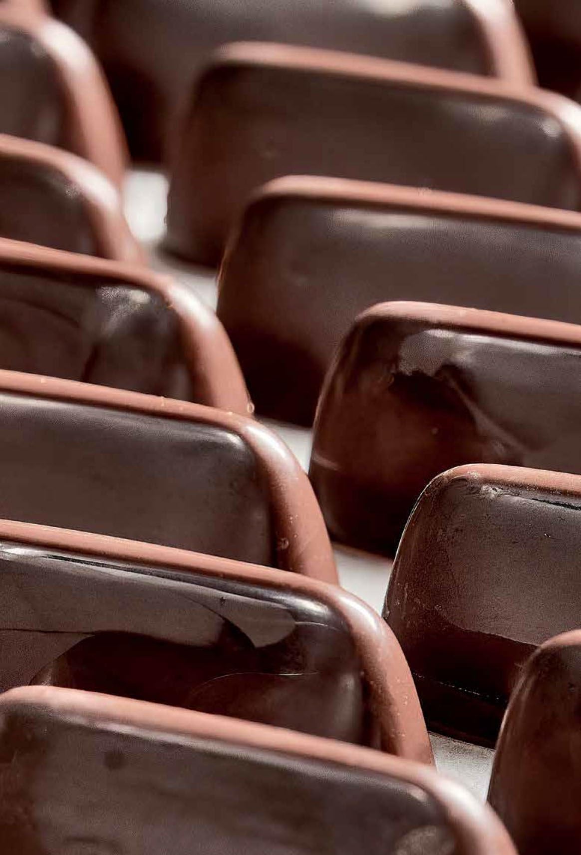 Il manuale del cioccolato. Tecnica, gestione, ricette. Guida pratica