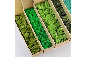 Natural Preserved Mixed Moss Kit