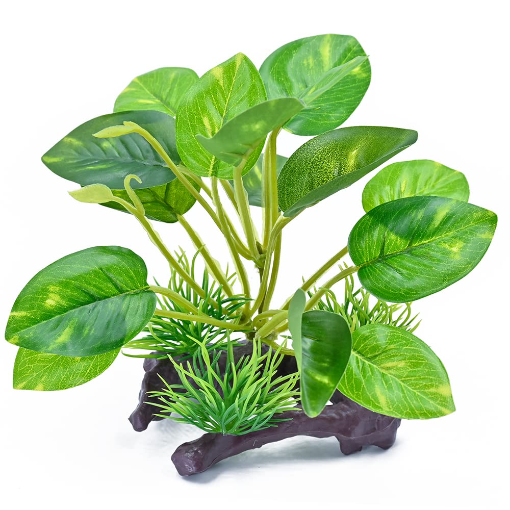 Reptile Artificial Plants, Terrarium Plants Decorations Supplies, Amphibian Habitat Hideout Tank Accessories, Rainforest Ground Plant (E)
