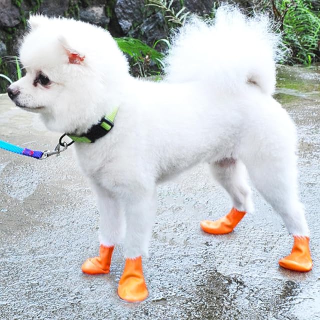 Foto 4 de 6 de TYFGRT Fundas Impermeables y Antideslizantes para Zapatos de Perros, Protección Elástica