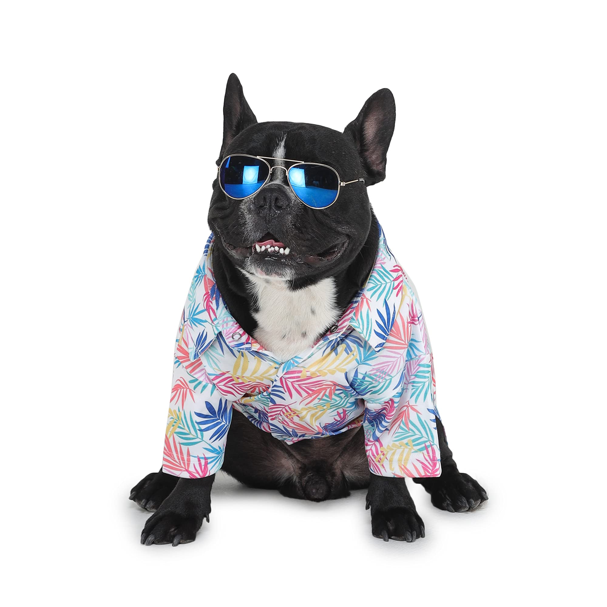 Barks & Wags Point Collared Printed Summer Shirt (Hawaiian, L) (B096ZMFVG7) Amazon Price History, Amazon Price Tracker