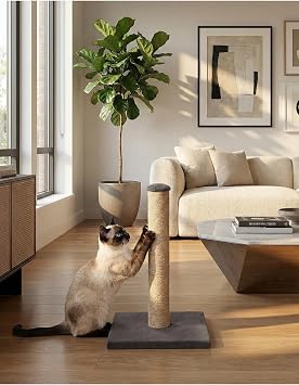 Kedi T rmalama Tahtas  - 42 Cm, Gri