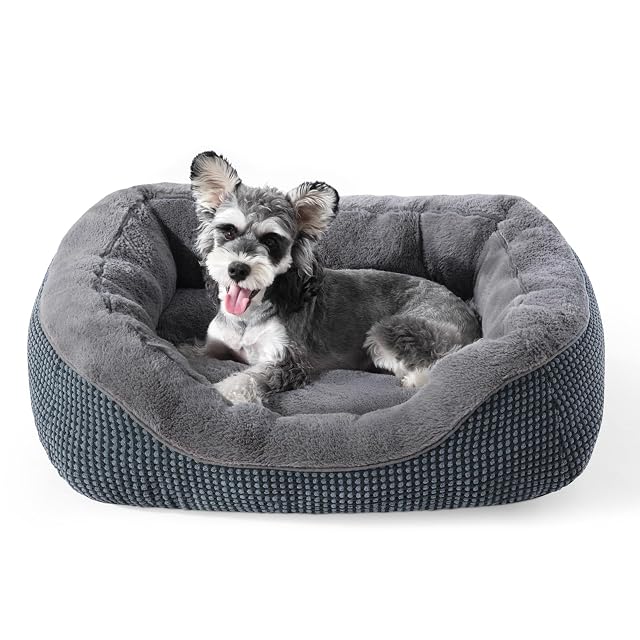 INVENHO Small Dog Bed for Small Dogs Cat Beds for Indoor Cats Washable Orthopedic Dog Bed Warming Soft