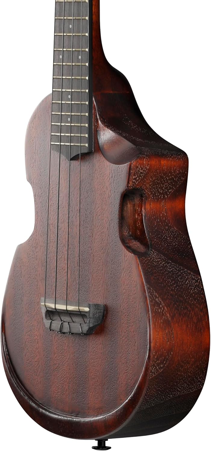Ibanez AU Concert Acoustic-electric Ukulele - Natural