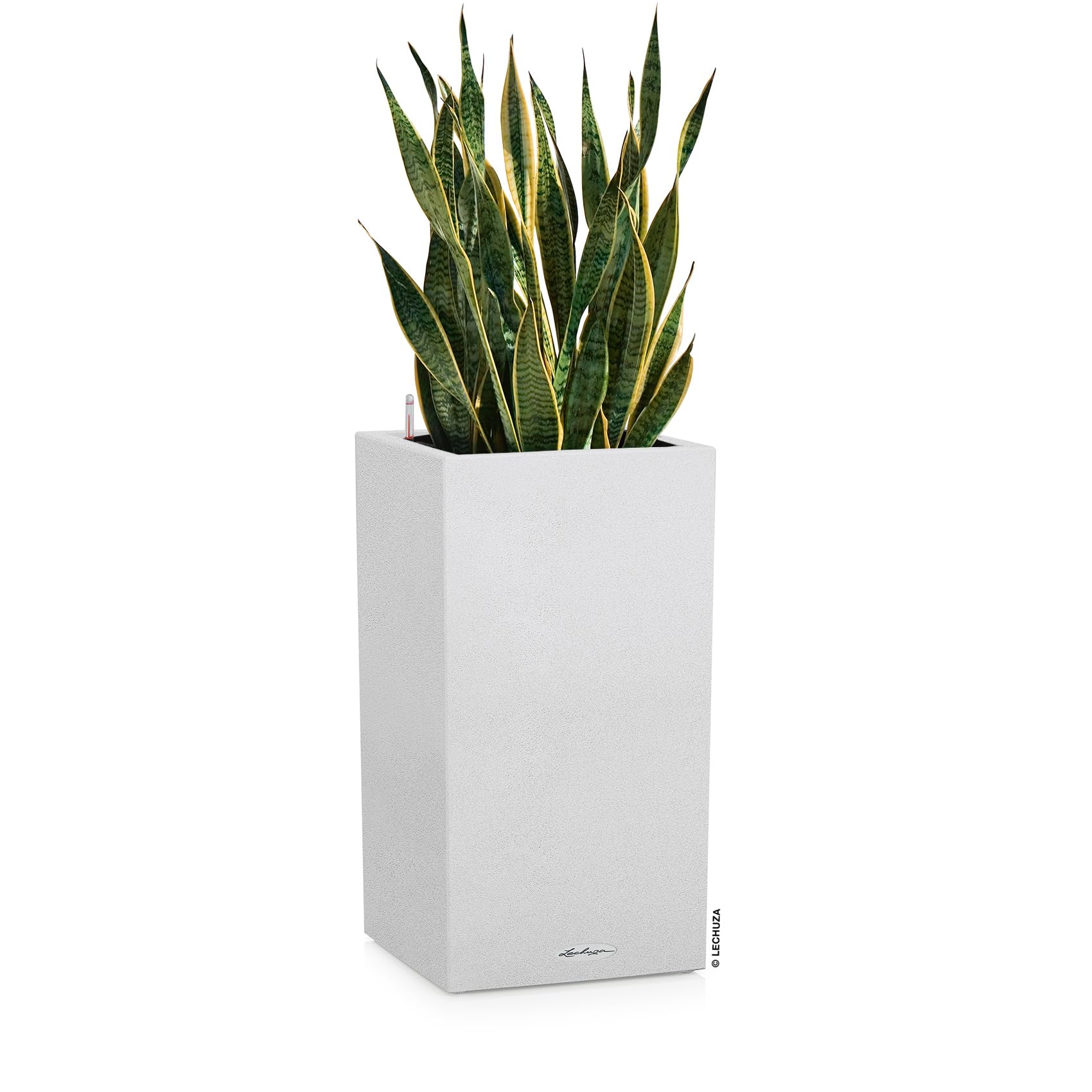 Lechuza Canto Stone 40, Quartz de Haute qualité, Blanc 13627