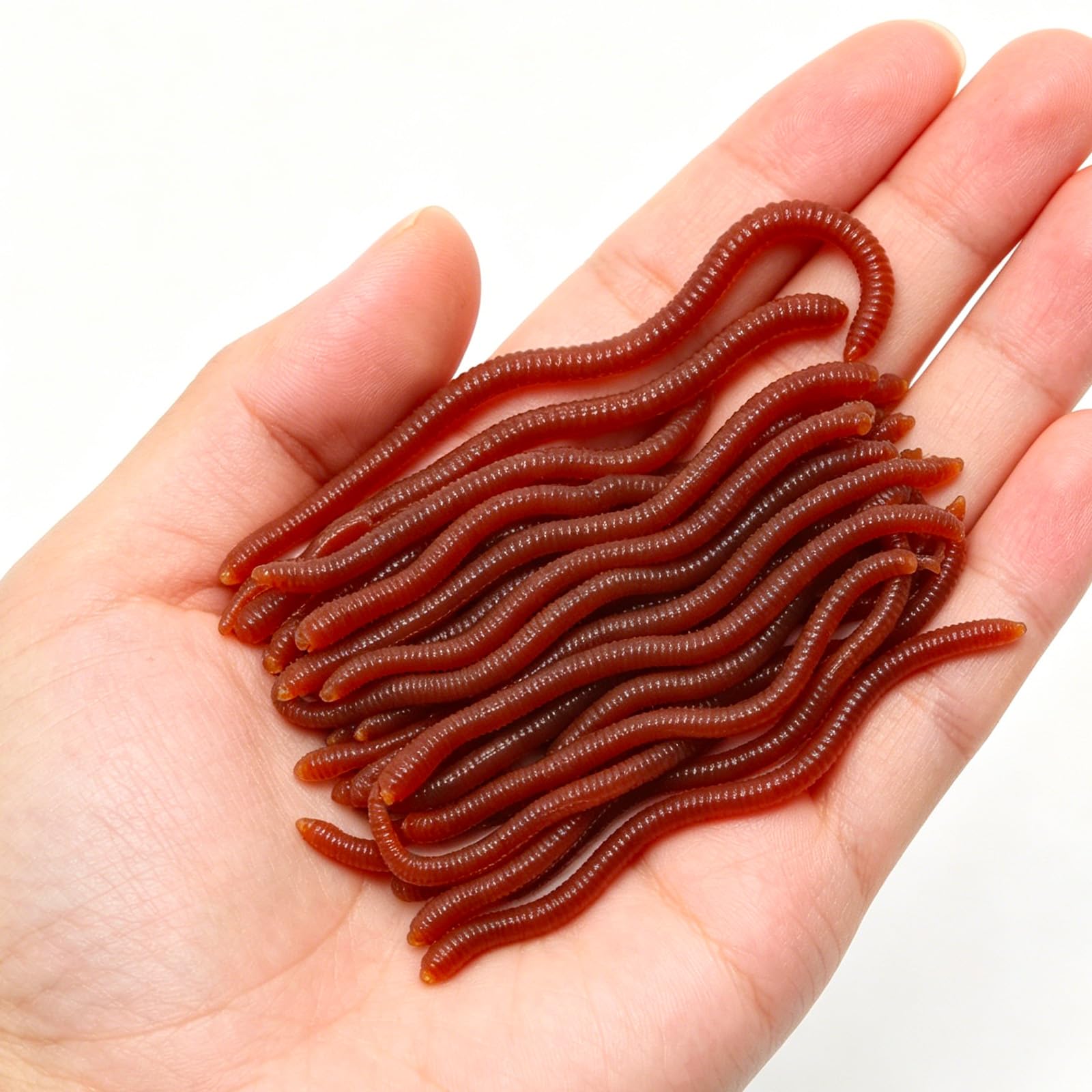 RJFUJP 100PCS Fake Worms, Plastic Bugs for Fishing and Pranks, April Fools Day Humour, Realistic Worm Collection for Adult Entertainment and and Fishing
