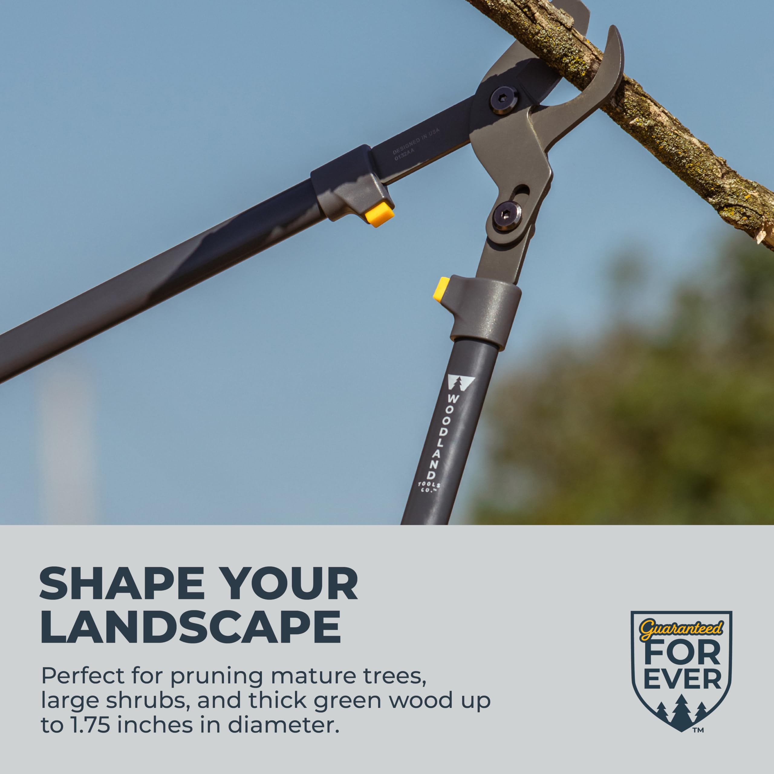 Woodland Tools Co. 25-3002-100 - Tijeras de podar (28 pulgadas)
