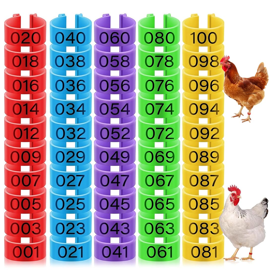 Produktbild von 50er Set Geflügel-Fußringe – Clip-Bänder Für Hühner, Enten, 5 Farben (rot, Lila, Gelb, Grün, Blau), Nummeriert, Wiederverwendbar – Zur Identifikation